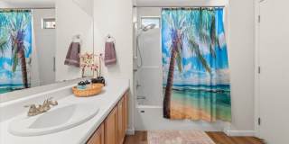 4066 E MELINDA Lane Gallery 21