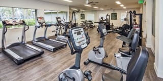 Citation Club Gallery 4