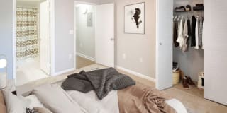 Palm Trace Landings Gallery 61
