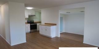 Totally renovated in Hilo Gallery 5