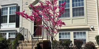 14657 WINTERFIELD DR Gallery 1