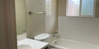 STUDENTS WELCOME! 4 Bed 2 Bath Home in West Ft Collins w/ Garage and Fenced Yard Gallery 26