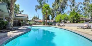 Pinewood Apartments Gallery 9