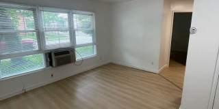 ONE11 COLLECTION - ROYAL OAK Gallery 32