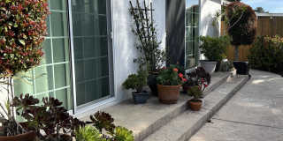 4192 Ashford Street Gallery 4