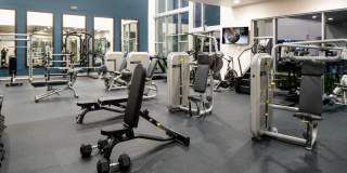 Strata Apartments Knox Henderson Gallery 4