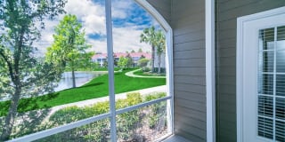 Pine Lake Gallery 29