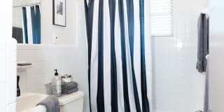 Myrtle Street Apartments Gallery 1