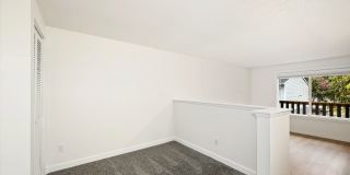 Driftwood Gallery 46