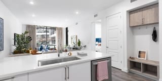 1155 Barton Springs Gallery 3