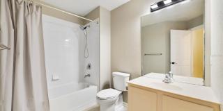 3582 SHALLOT DRIVE Gallery 11