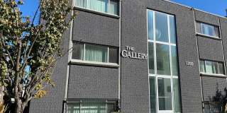 The Gallery Gallery 8