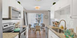 The Chapman Gallery 11