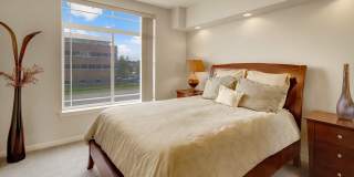 Park Plaza II Apartment Homes Gallery 6