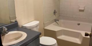 252 Harris Street Gallery 4