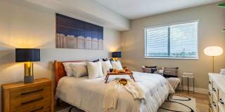 Icon One Daytona Gallery 11