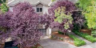 Cedar Park 8 Gallery 29