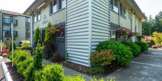 Terra Apartments Gallery 71