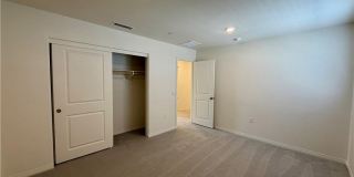 9643 Babaco Gallery 13