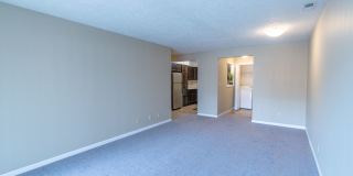 Adriana Court Gallery 8