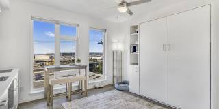 Koz at the Dome Gallery 15