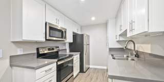 THE MODERN CACTUS Gallery 35