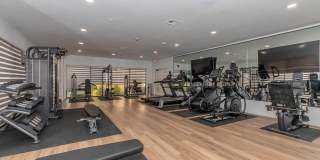 Terrica Urban Living Gallery 48