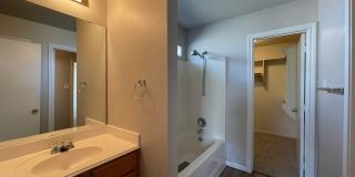 Updated 4 Bed, 3 Bath Home for Fall 2026 Move In! Gallery 7
