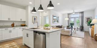 Bluestem at Loyola Gallery 1