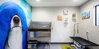 Sendero Huntington Beach Gallery 16