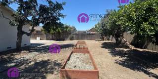 6346 Escallonia Drive Gallery 34