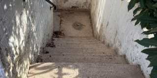 3501 MAJESTIC PINE LN Gallery 30