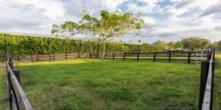 14367 Belmont Trace Gallery 4