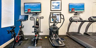 Blu Atlantic Gallery 47