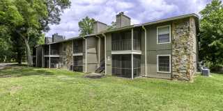 Jasmine Creek Gallery 1