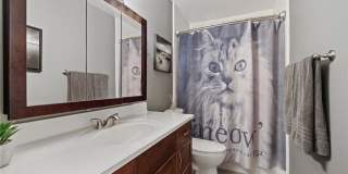 1360 Shadow Ln 1360 Shadow Ln Gallery 12