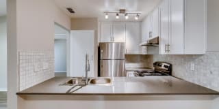 Larkspur Larkspur Gallery 11