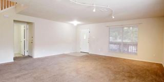7326 Tamburo Gallery 13