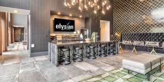 Elysian at Tivoli Gallery 19