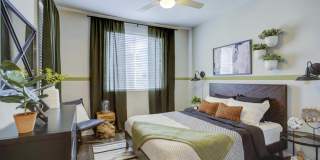 Array Vista Canyon Gallery 21