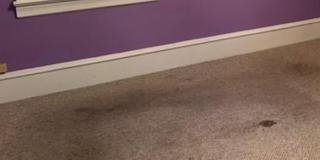 111 CHURCH Road unit: 2 Gallery 1