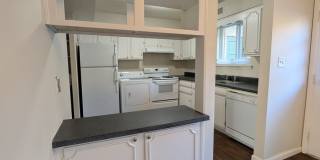 2 Bedroom Walking Distance to NCSU! 2 Bedroom Walking Distance to NCSU! Gallery 4
