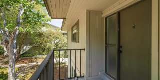 22 Veronese Ct Gallery 37