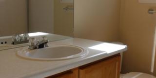 Beautiful 3 BR/2 1/2 BA Home in Highlands Ranch! Gallery 19