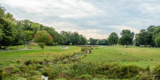 The Highlands at South Plainfield Gallery 21