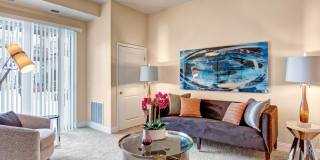 4800 Excelsior Gallery 4