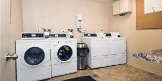 Glen Ridge Gallery 14