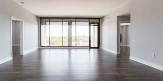 International Gallery 29