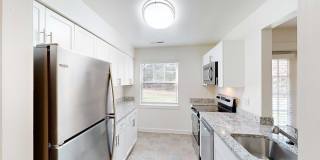 Legacy at Mayland Gallery 24