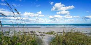 1446 Wyn Cove Drive Gallery 60